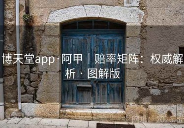 博天堂app·阿甲｜赔率矩阵：权威解析 · 图解版