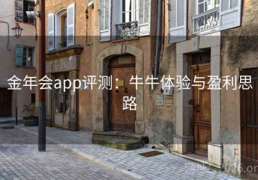 金年会app评测：牛牛体验与盈利思路
