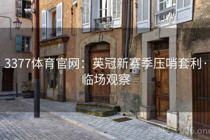 3377体育官网：英冠新赛季压哨套利·临场观察