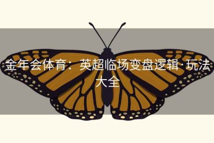 金年会体育：英超临场变盘逻辑·玩法大全