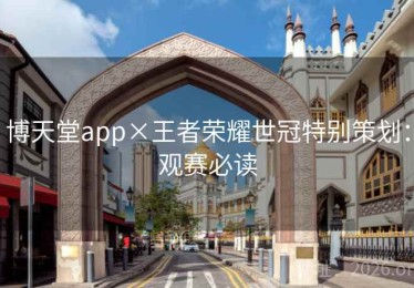 博天堂app×王者荣耀世冠特别策划：观赛必读