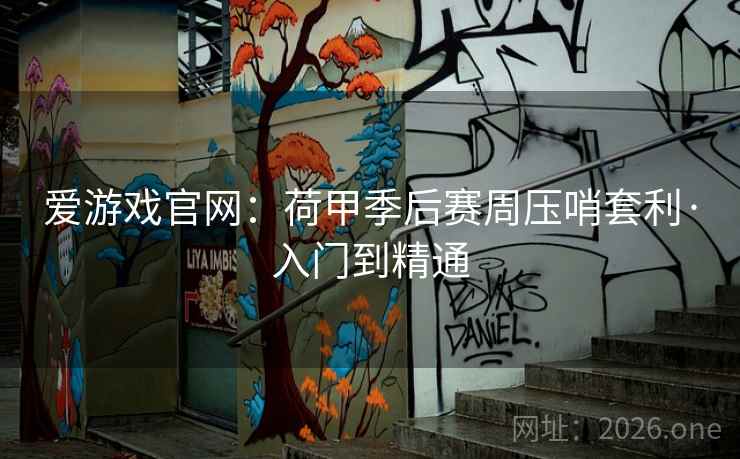 爱游戏官网：荷甲季后赛周压哨套利·入门到精通