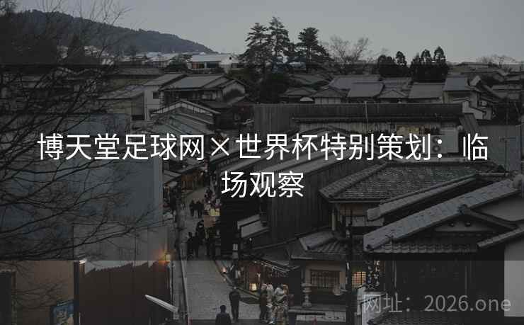 博天堂足球网×世界杯特别策划：临场观察