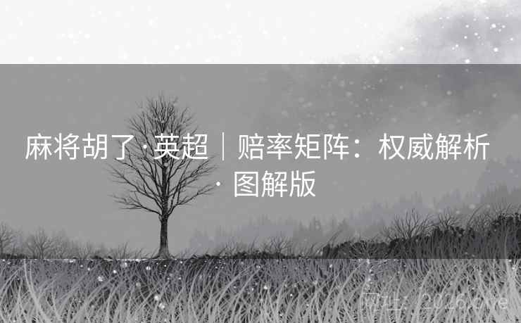 麻将胡了·英超｜赔率矩阵：权威解析 · 图解版