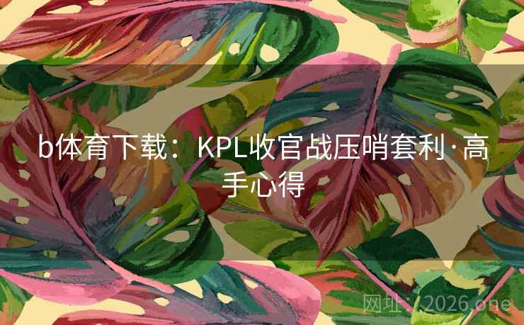 b体育下载：KPL收官战压哨套利·高手心得