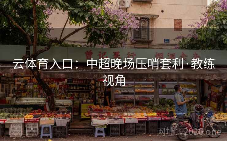 云体育入口：中超晚场压哨套利·教练视角